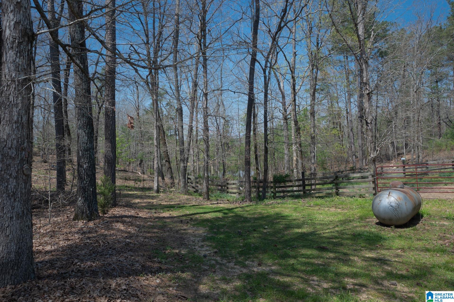 89 Oak Tree Trail Wilsonville, AL 35186 - Photo 17 of 20