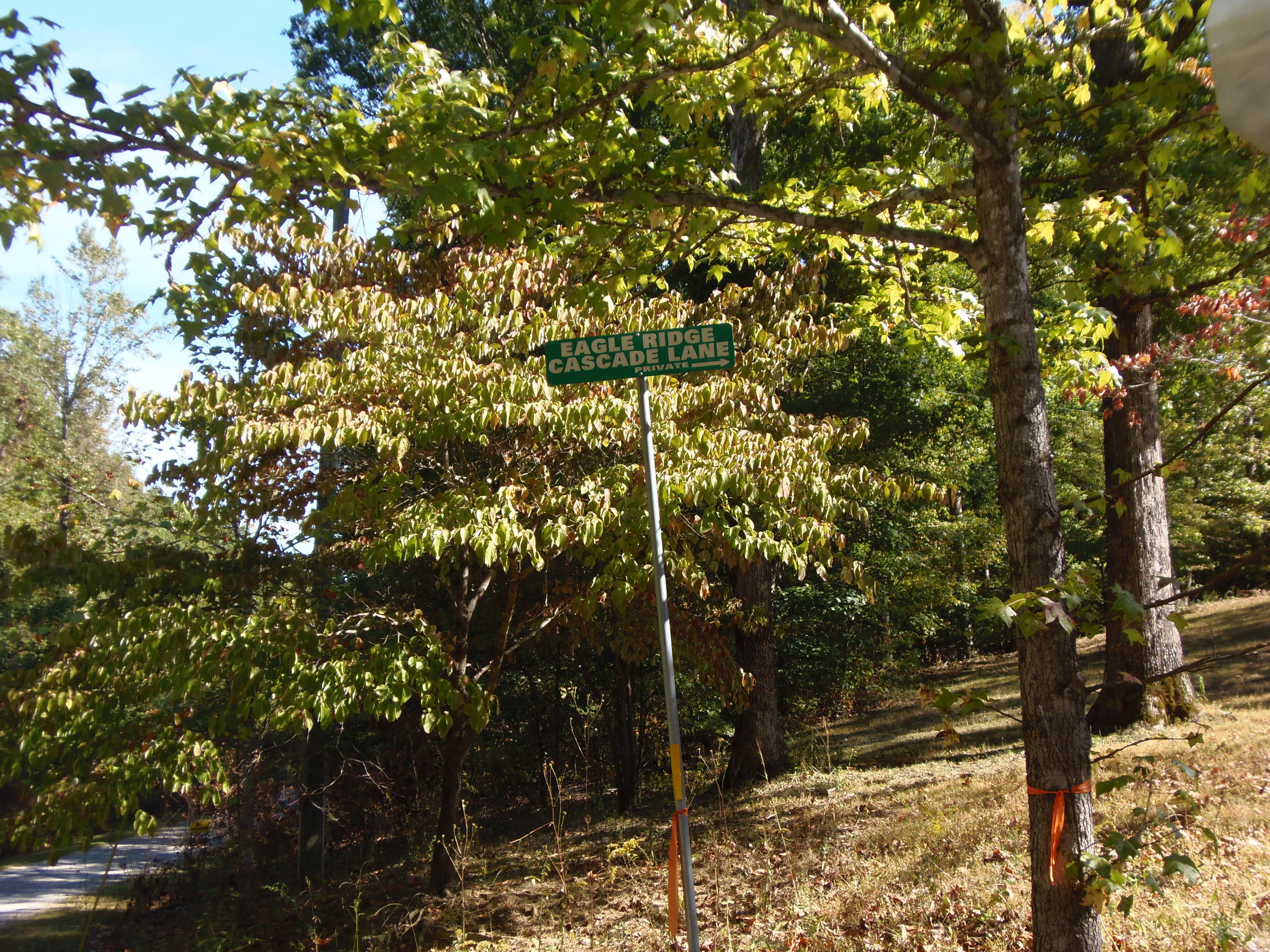 Ridge Road Maryville, TN 37803 - Photo 14 of 14 TURN HERE!