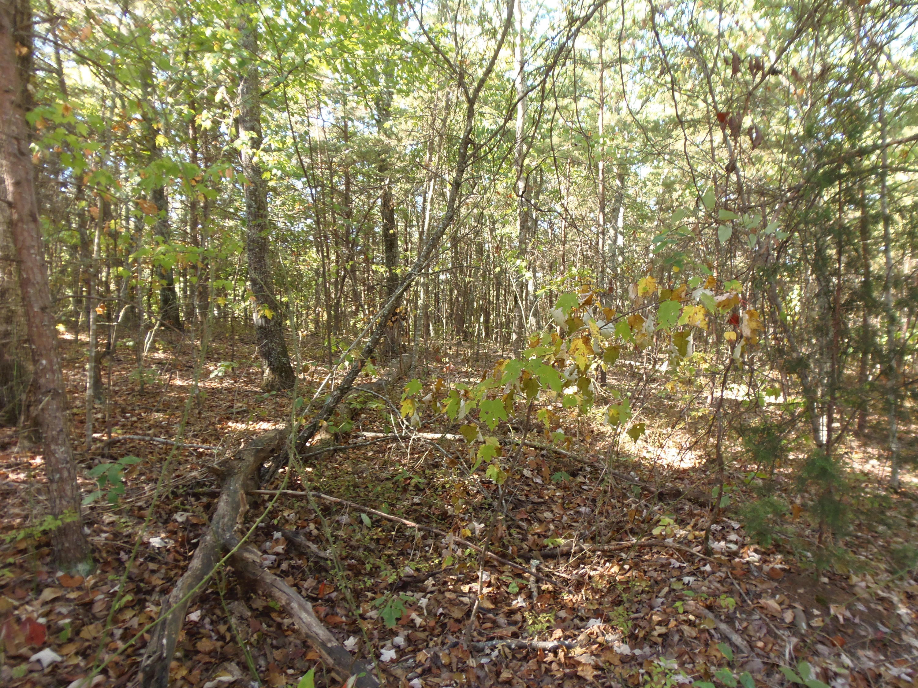 Ridge Road Maryville, TN 37803 - Photo 3 of 14 P1011021