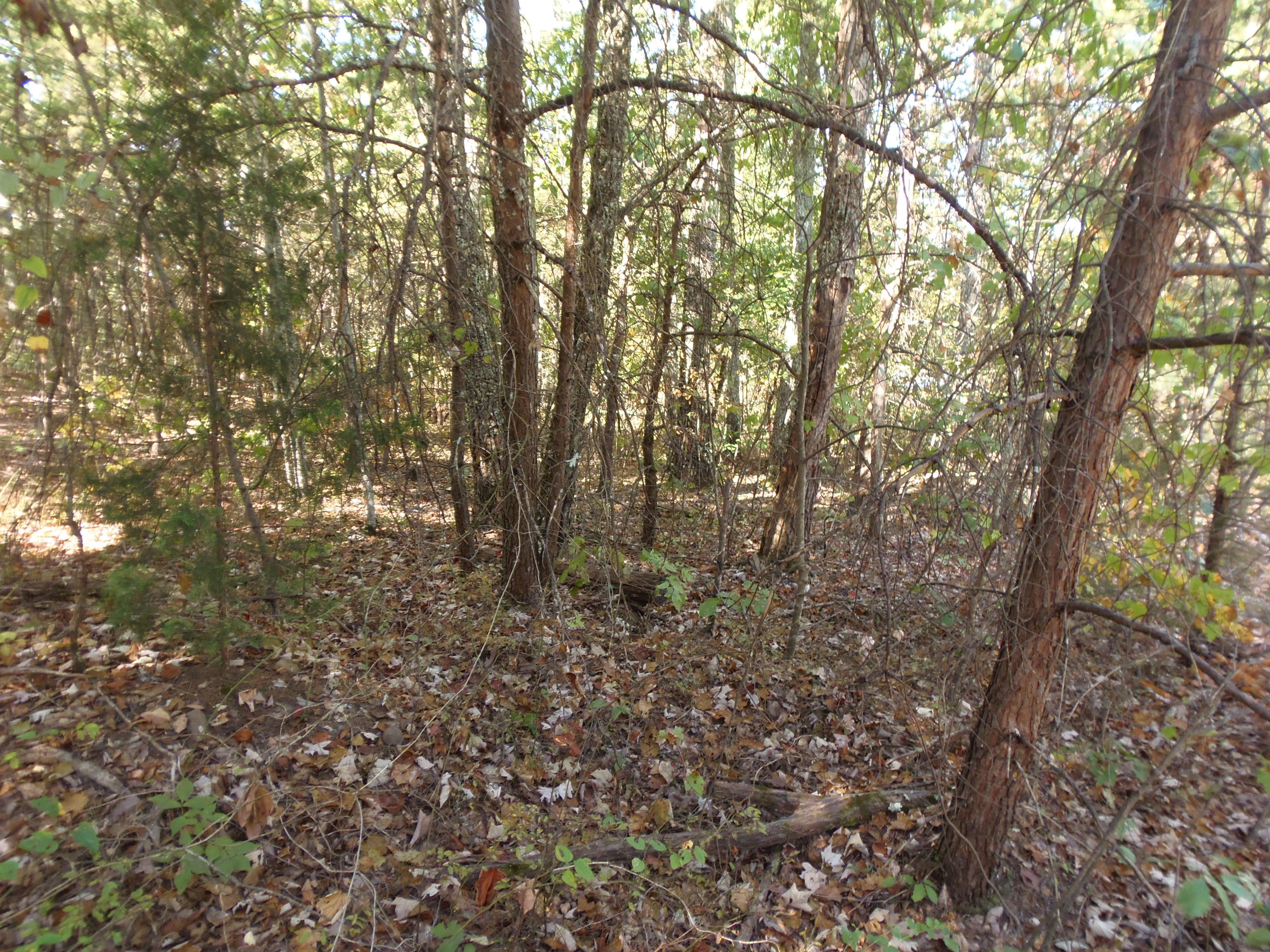 Ridge Road Maryville, TN 37803 - Photo 5 of 14 P1011024