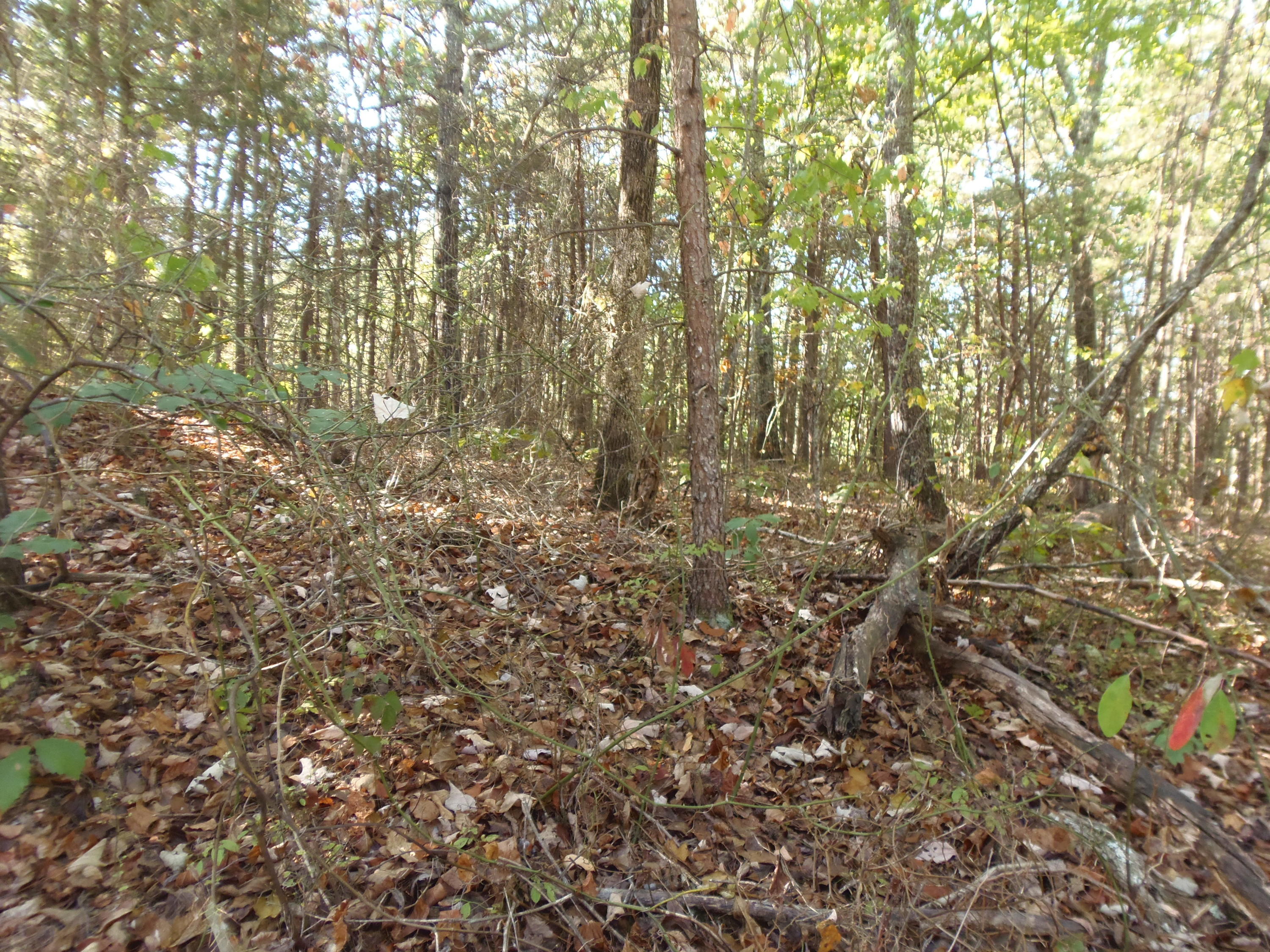 Ridge Road Maryville, TN 37803 - Photo 7 of 14 P1011026