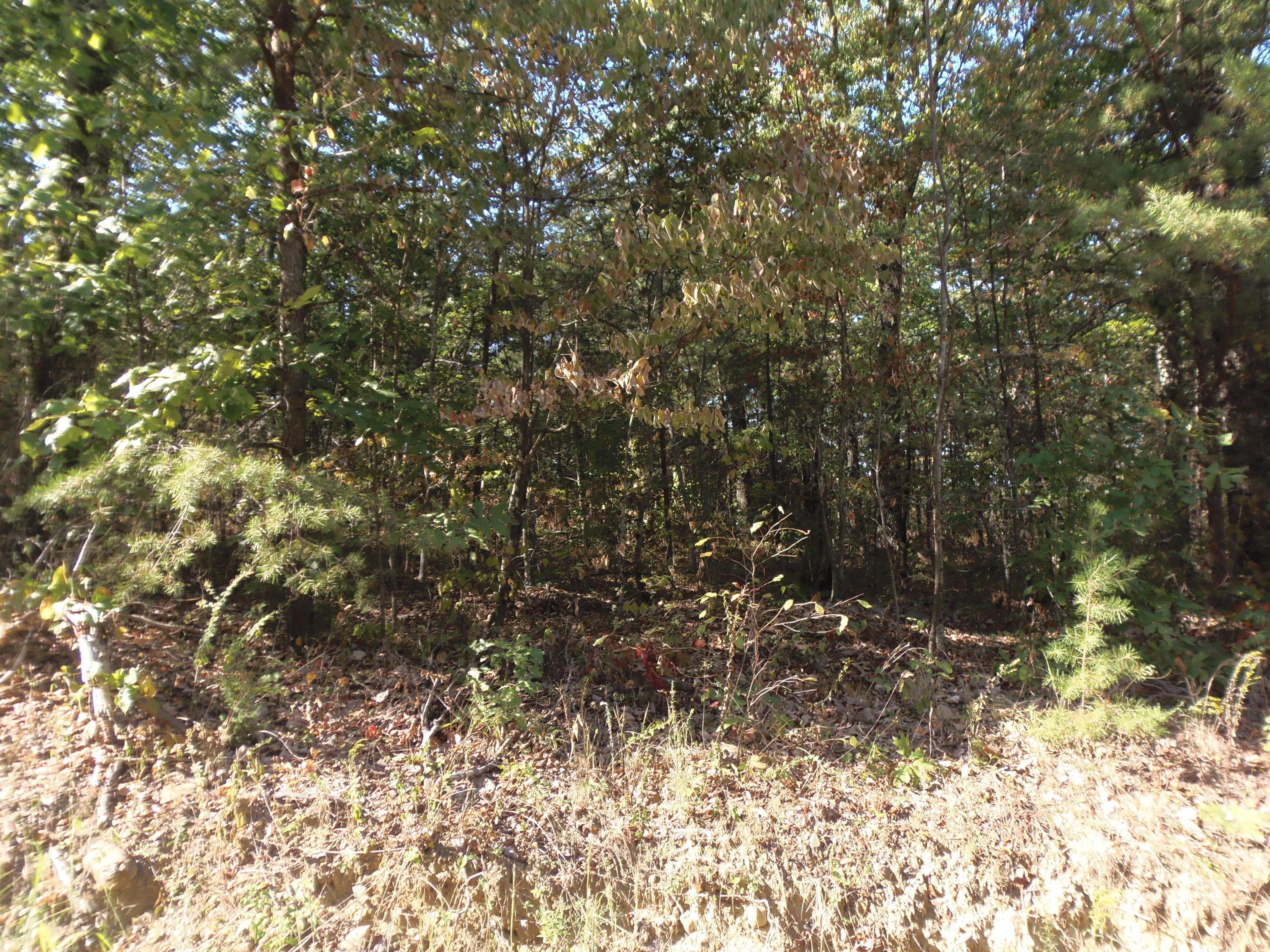 Ridge Road Maryville, TN 37803 - Photo 10 of 14 P1011029