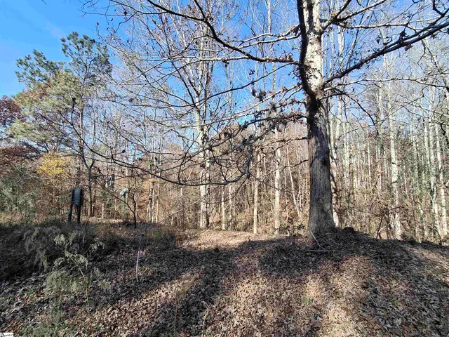 $38,500 | 205 Spake Road, Pendleton, SC 29670