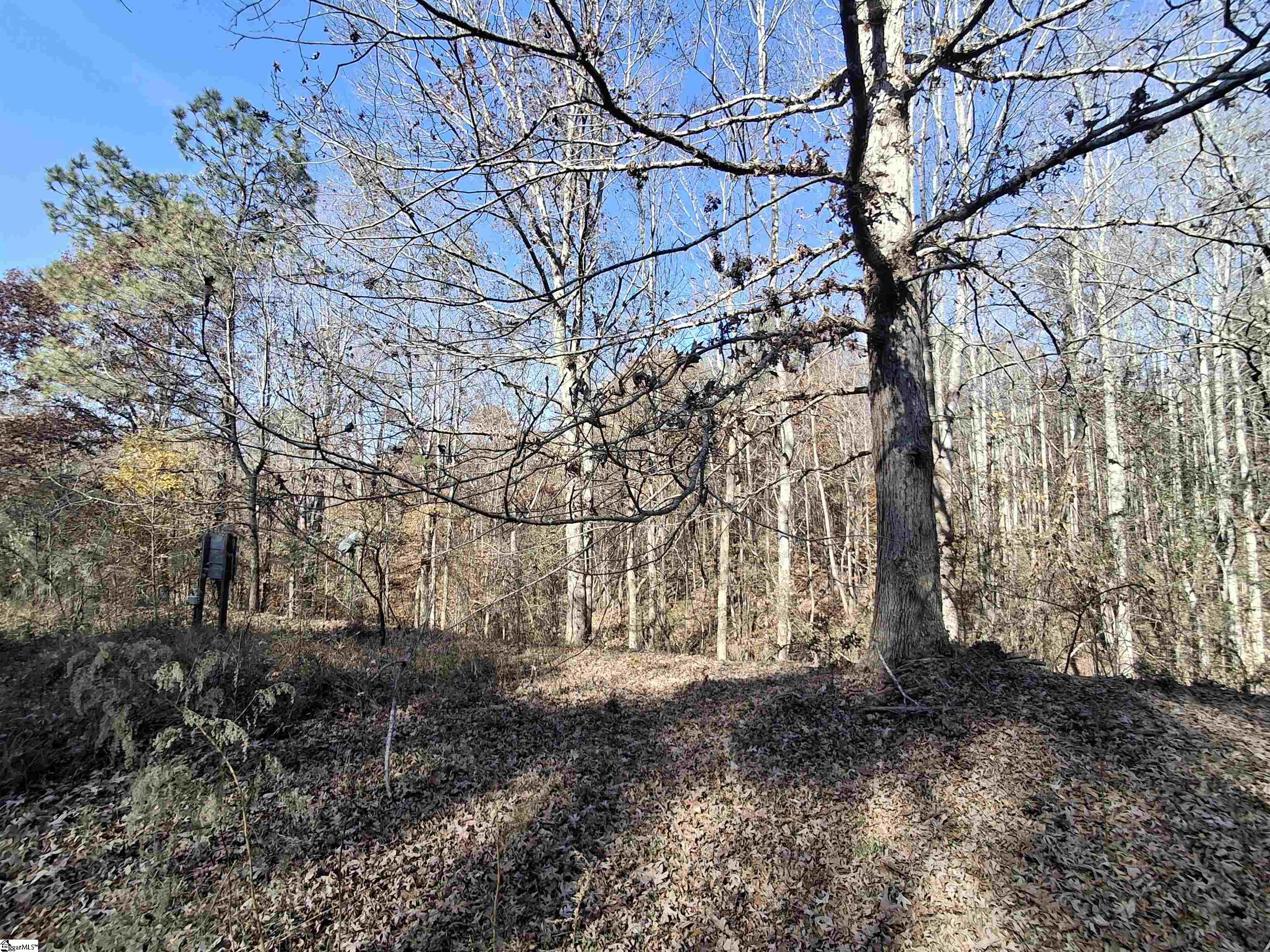 205 Spake Road Pendleton, SC 29670 - Photo 1 of 5