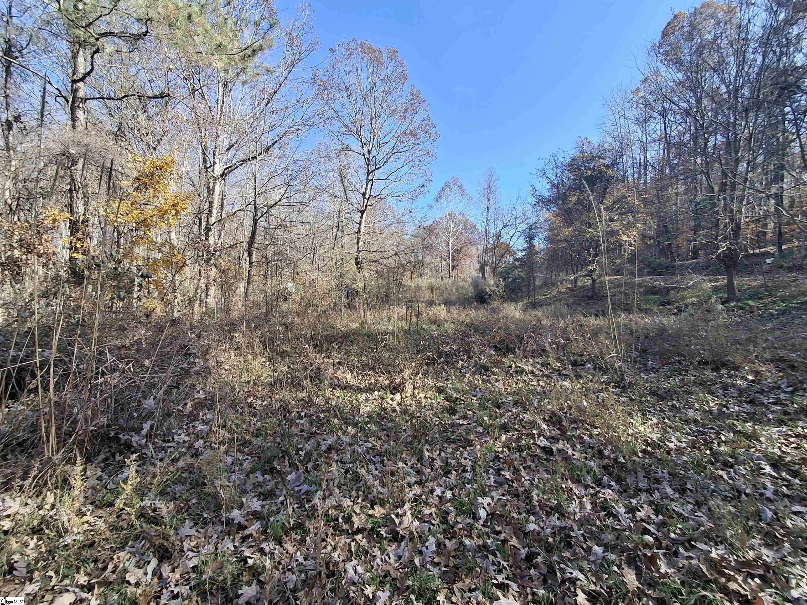 205 Spake Road Pendleton, SC 29670 - Photo 2 of 5