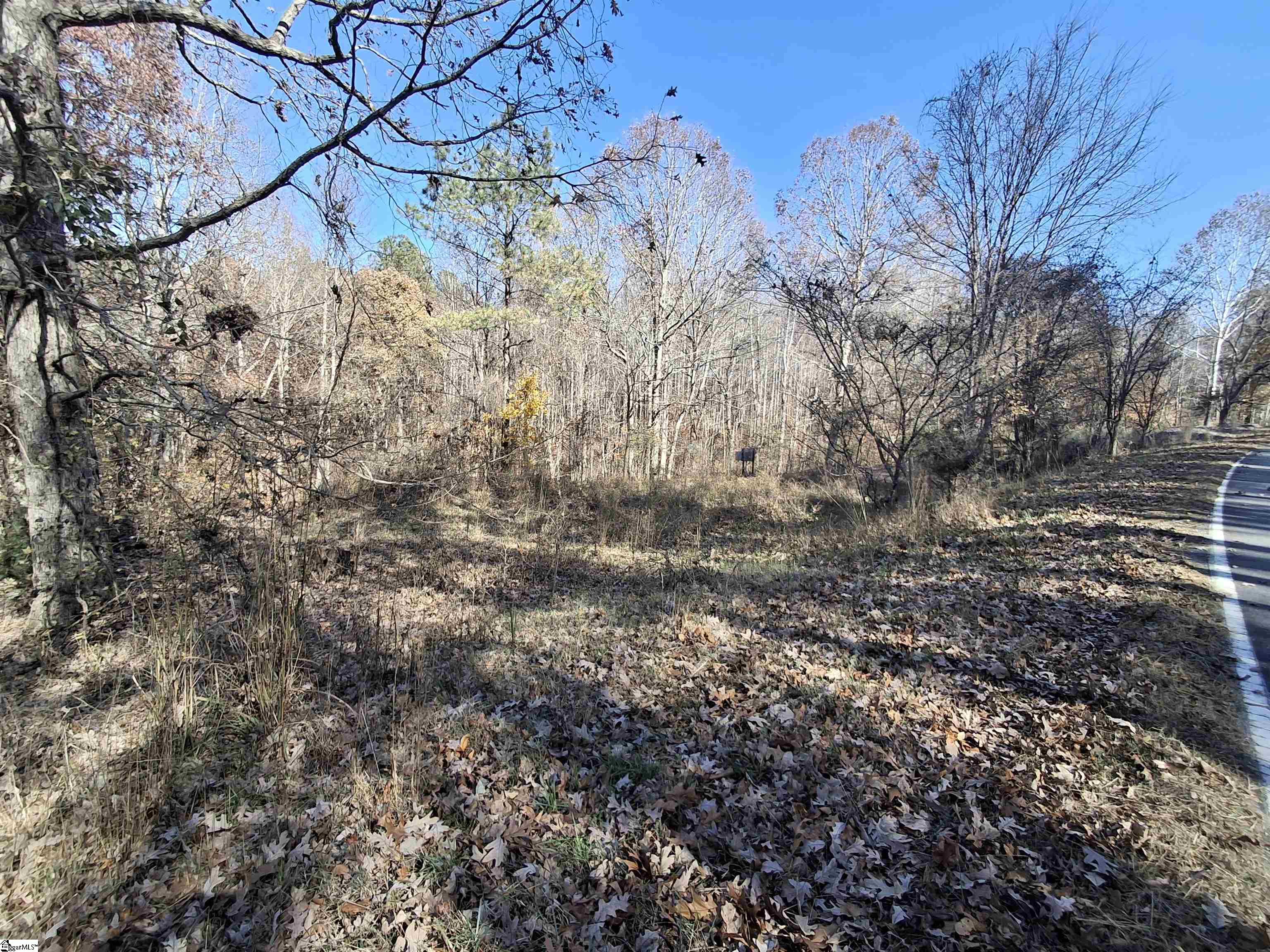 205 Spake Road Pendleton, SC 29670 - Photo 3 of 5