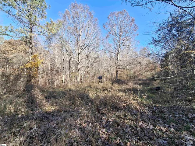 $38,500 | 205 Spake Road, Pendleton, SC 29670