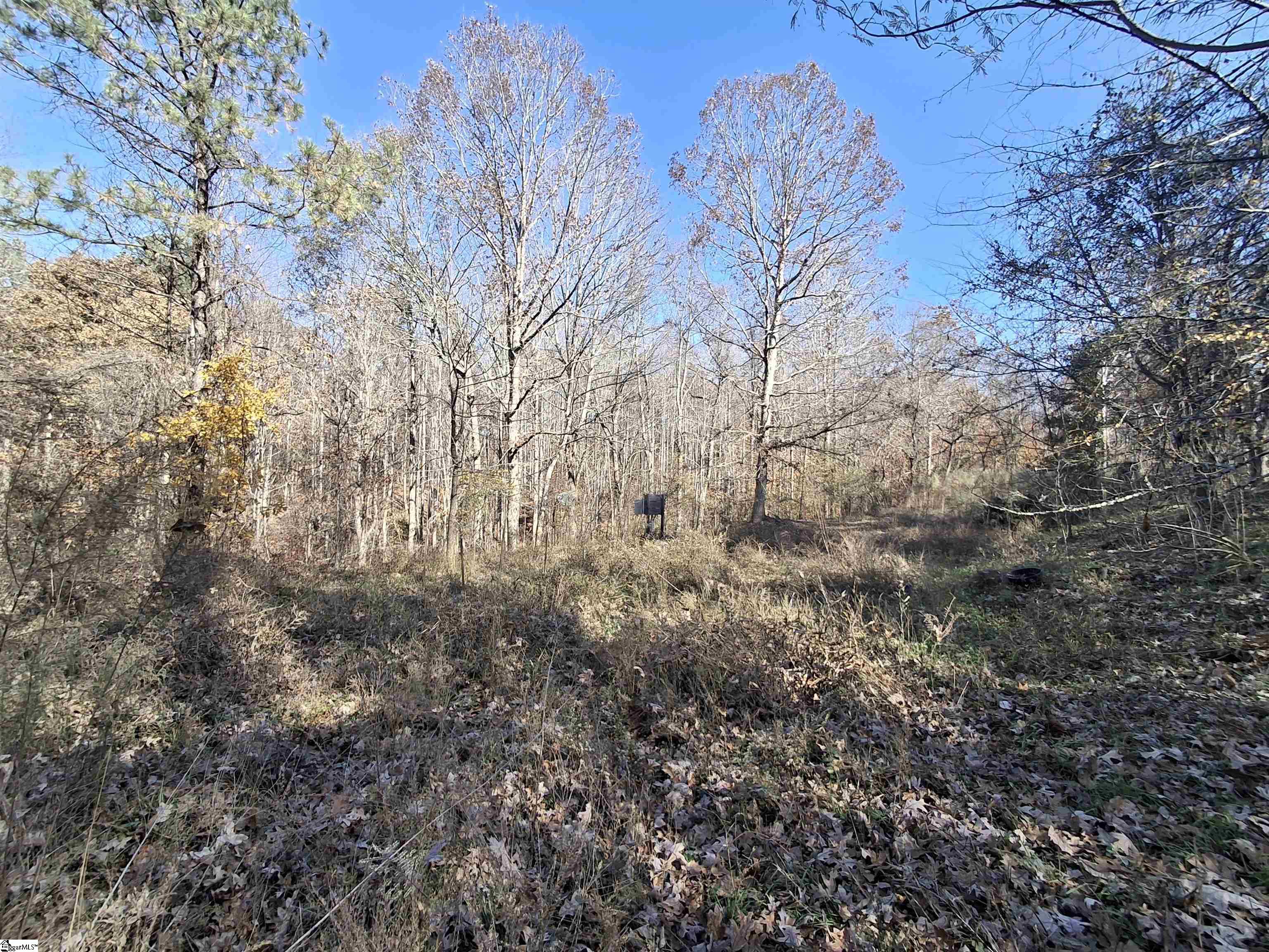 205 Spake Road Pendleton, SC 29670 - Photo 4 of 5