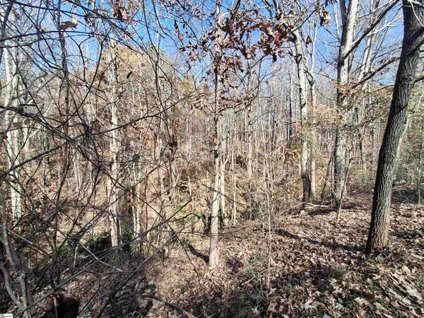 $37,500 | 205 Spake Road, Pendleton, SC 29670