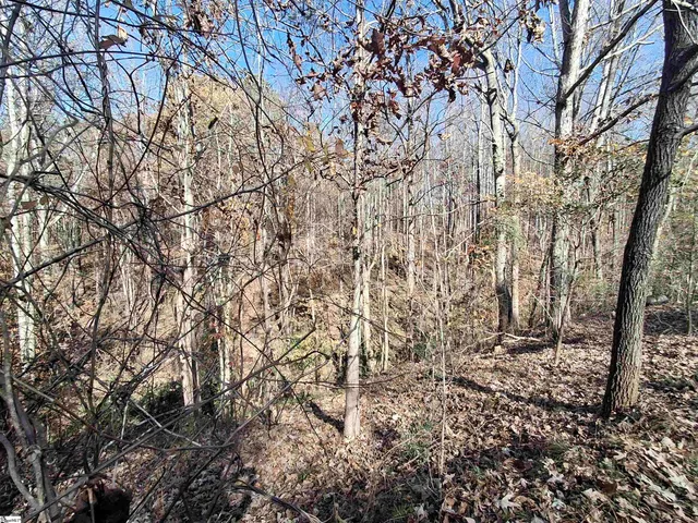 $38,500 | 205 Spake Road, Pendleton, SC 29670