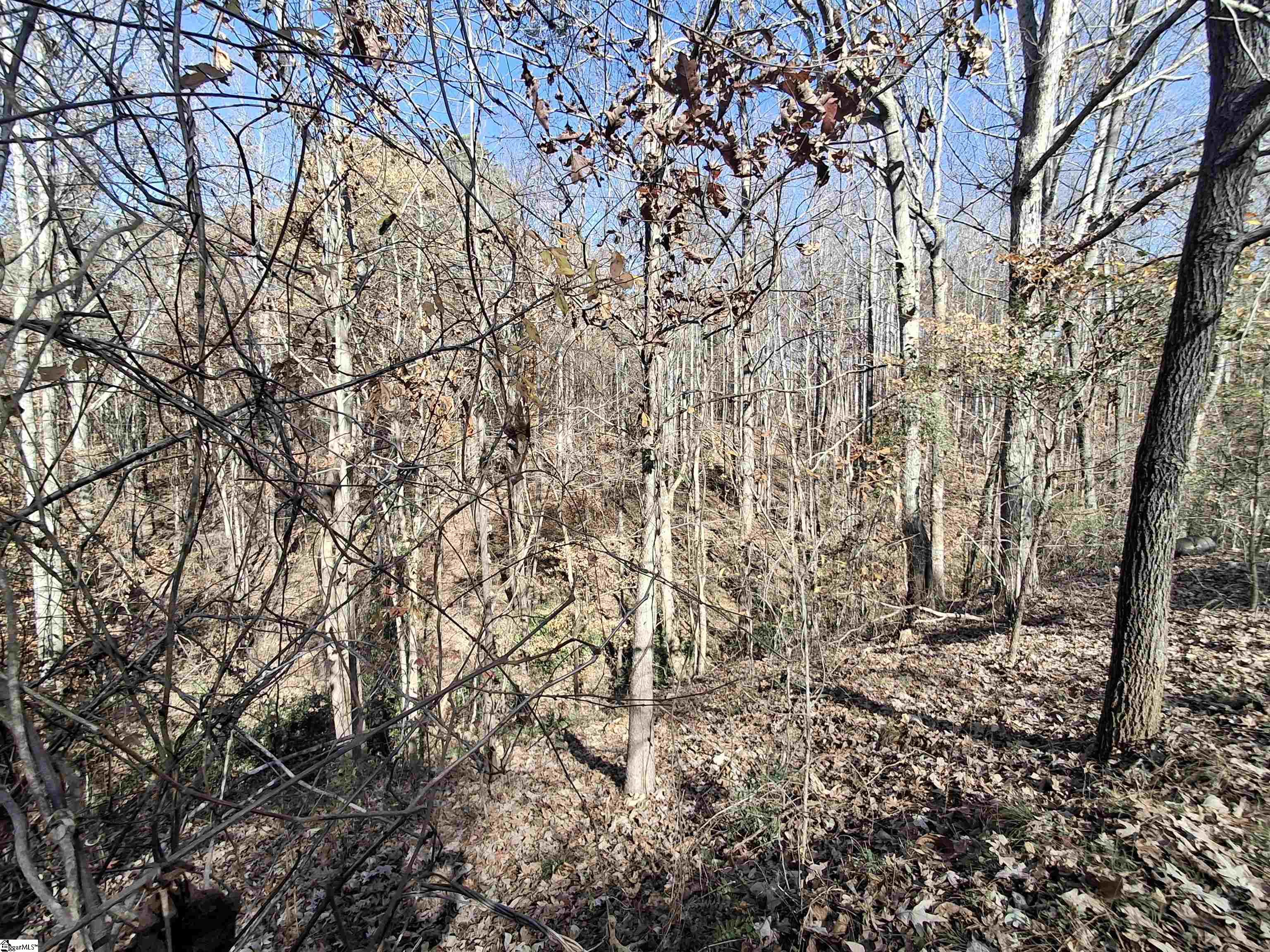 205 Spake Road Pendleton, SC 29670 - Photo 5 of 5