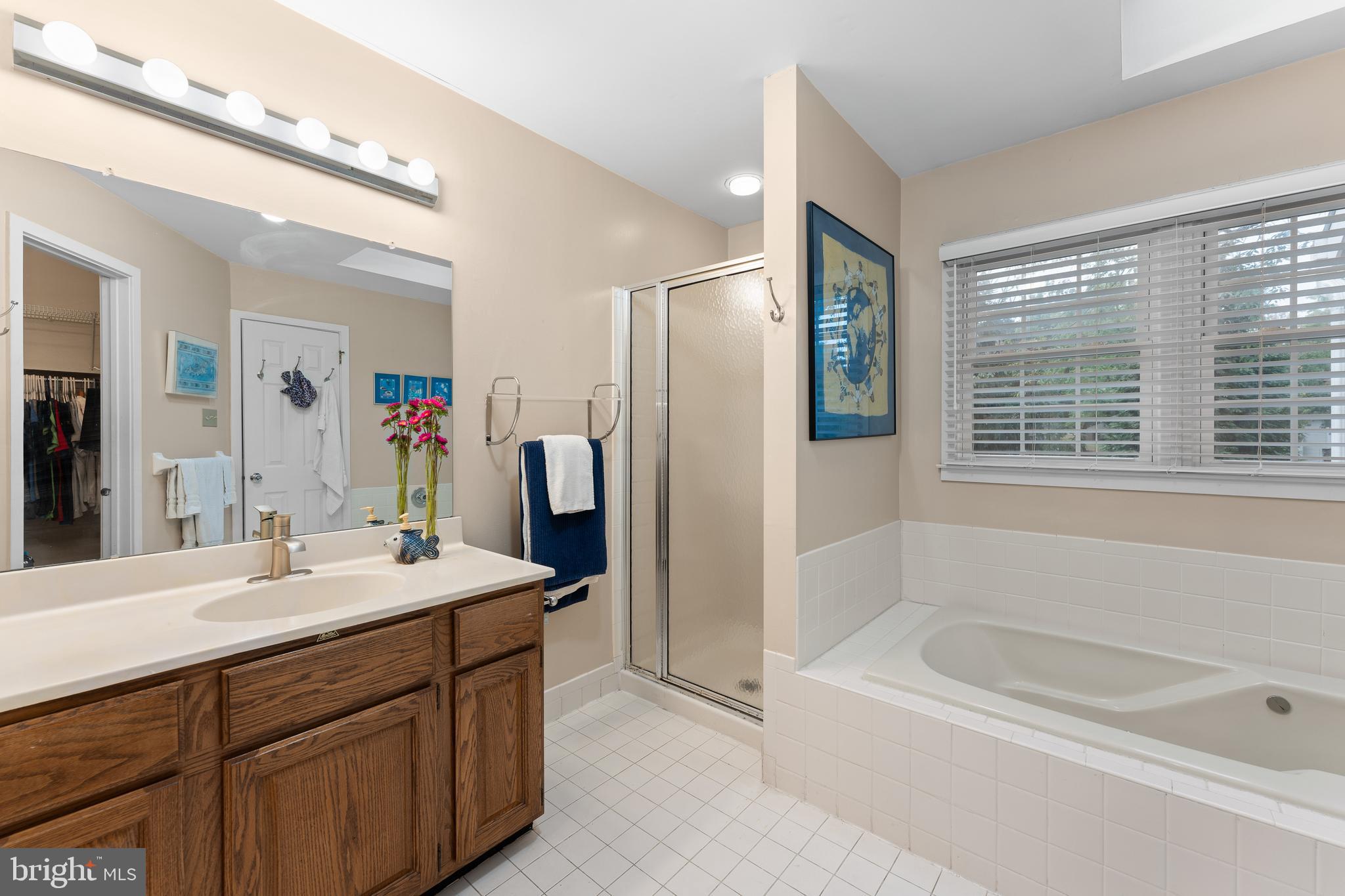 19 Windsor Circle Chesterbrook, PA 19087 - Photo 17 of 28 Primary en-suite bath with skylight