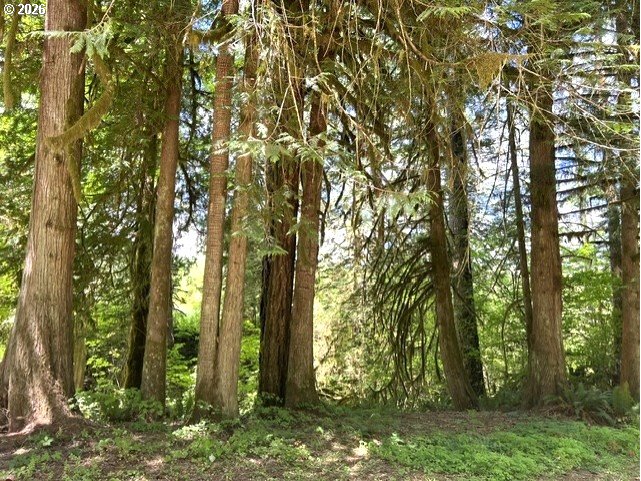 Fairdale Road Yamhill, OR 97148 - Photo 16 of 47 Gallery Image 16