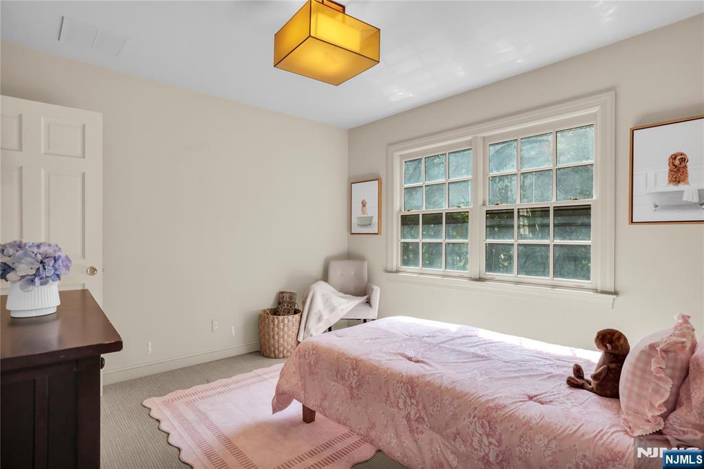 201 Little Falls Road Cedar Grove, NJ 07009 - Photo 27 of 46