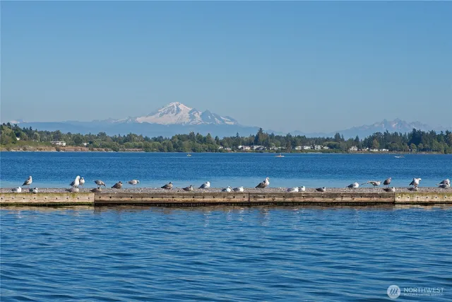a view of a lake with houses in the background