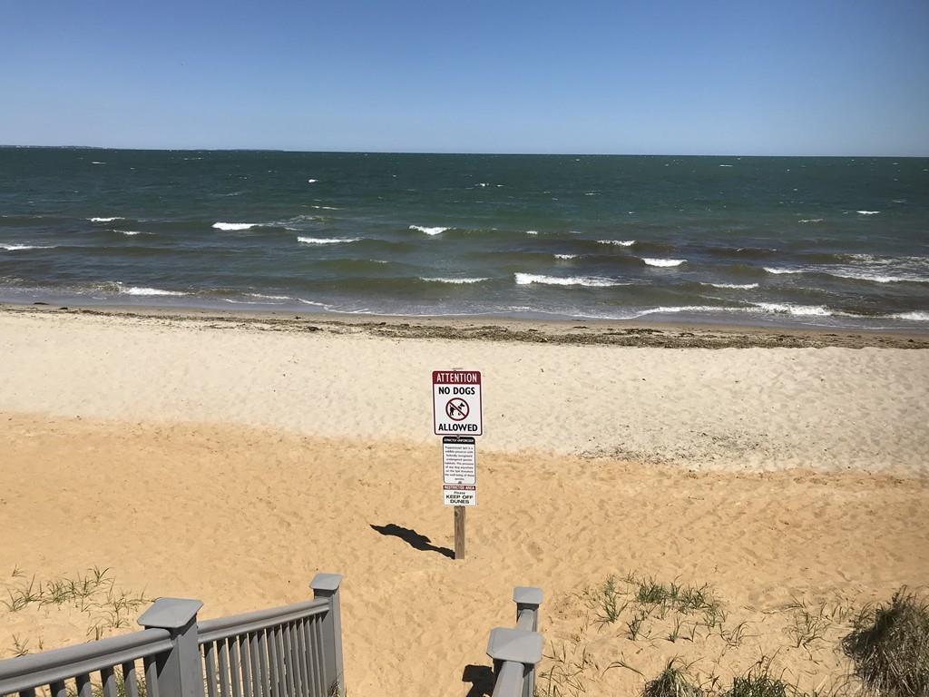 9 Uncle Percy's Road Mashpee, MA 02649 - Photo 16 of 16 a view of an ocean and beach