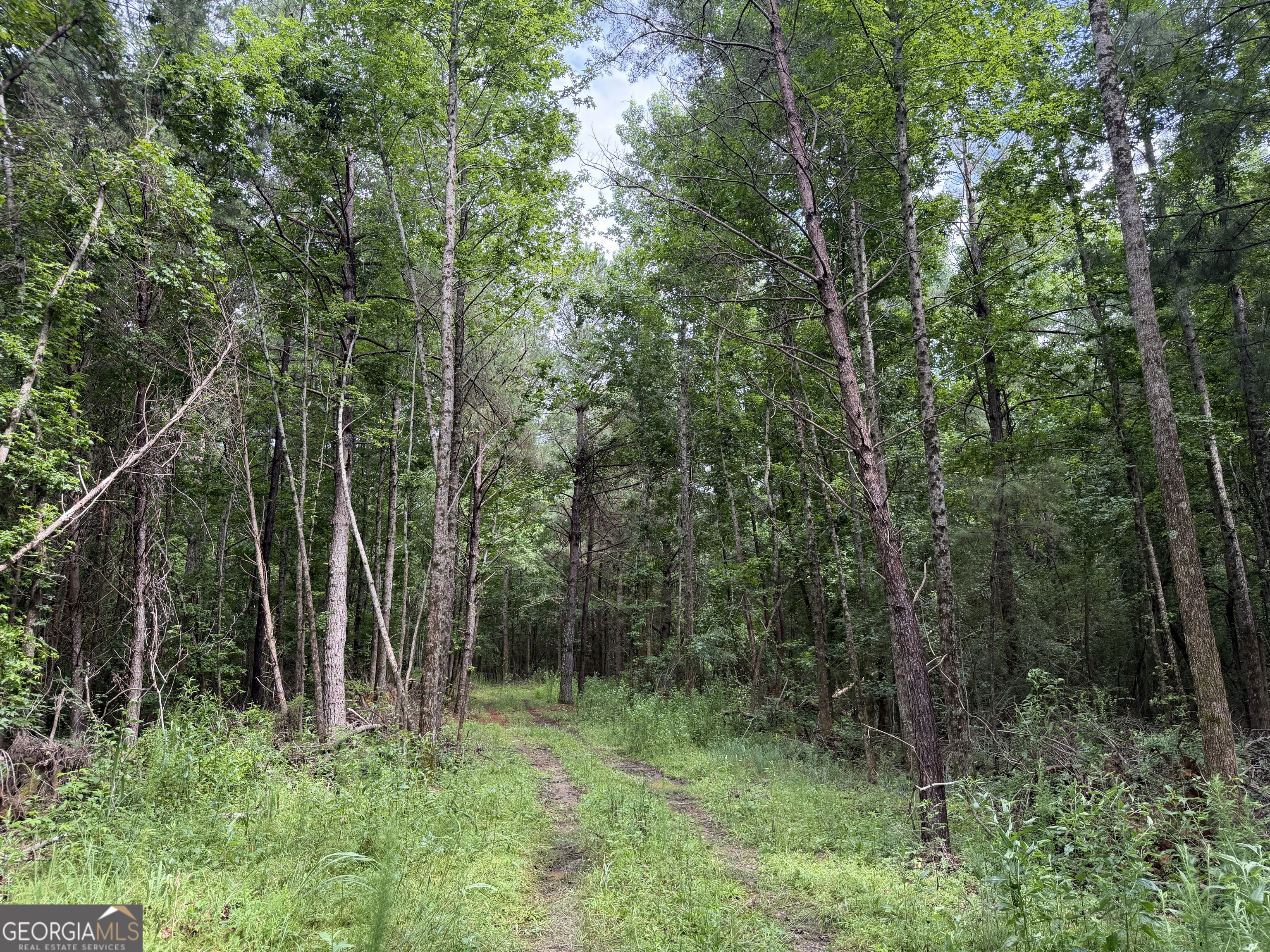 4 County Rd 445 Haleyville, AL 35565 - Photo 10 of 11