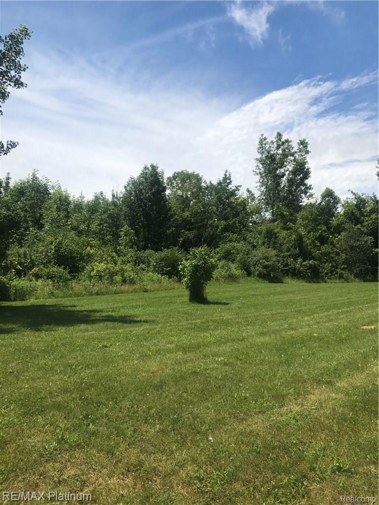 0 West Hamlin Road Rochester, MI 48309 - Photo 1 of 4 IMG_3382.JPG