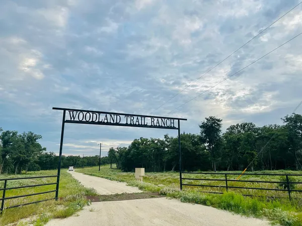 a view of a park