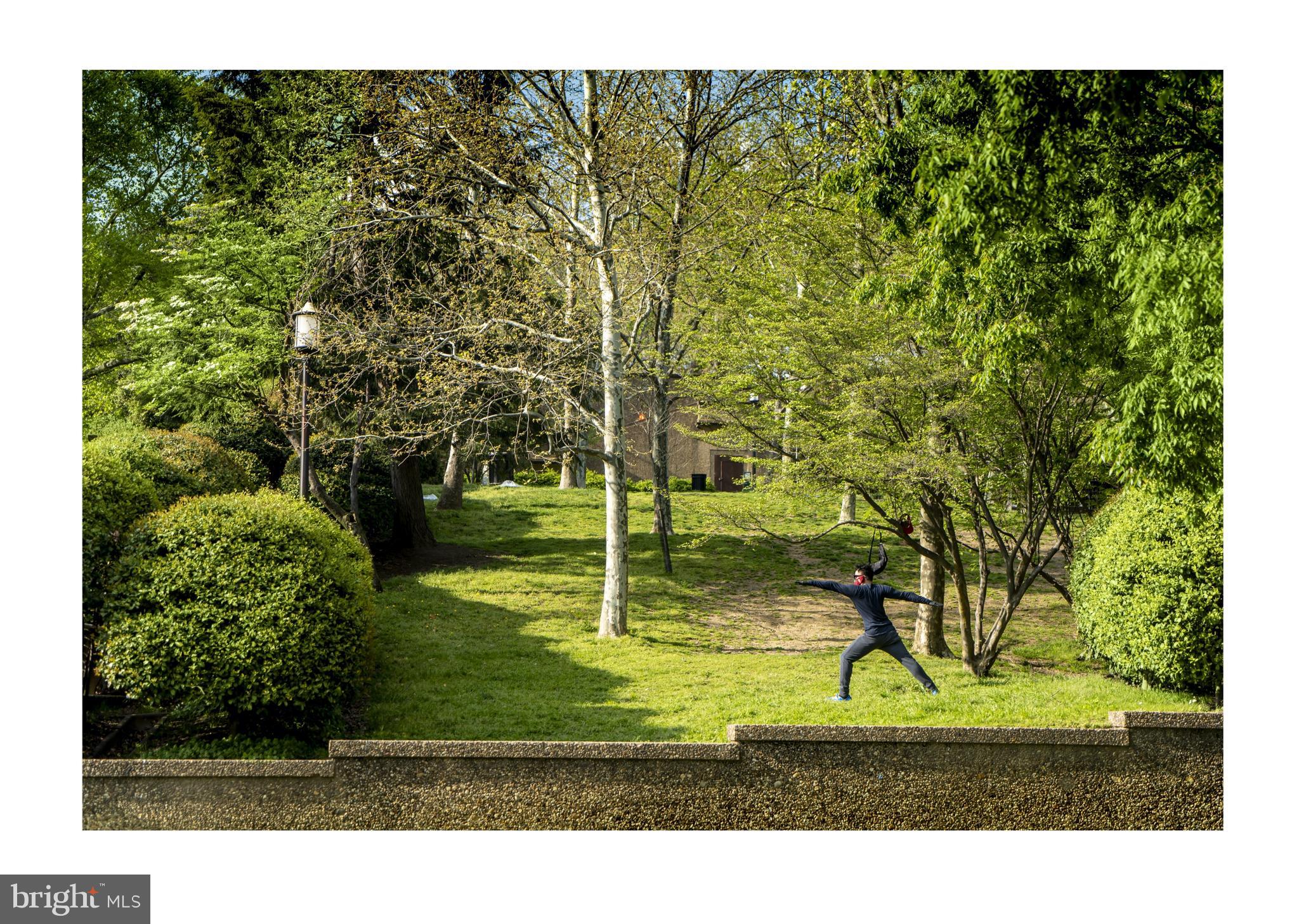 2244 Ontario Road Northwest, Unit 4 Washington, DC 20009 - Photo 28 of 29 Meridian Hill Park