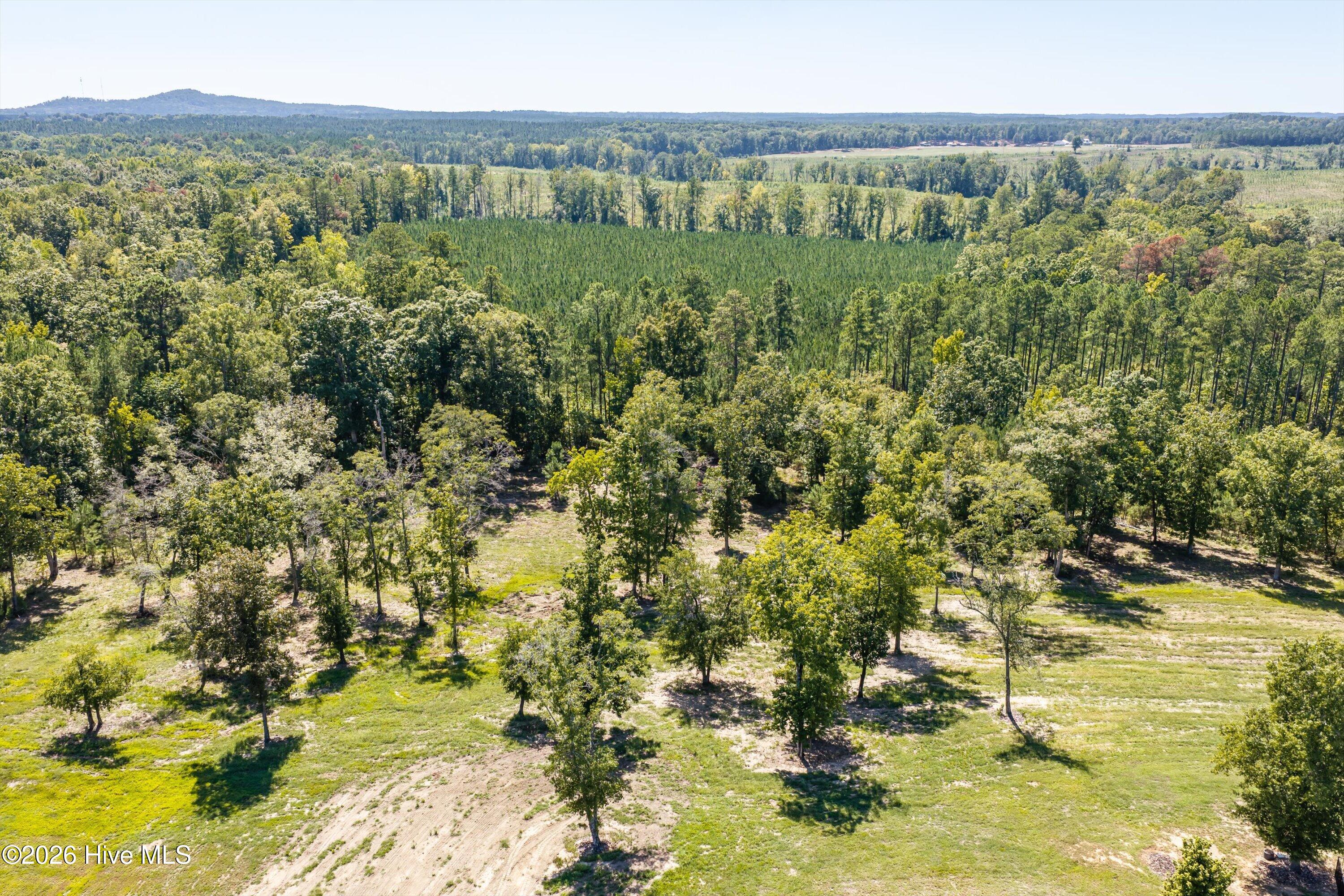 1540 Lovelace Road Lincolnton, GA 30817 - Photo 86 of 90 131-DJI_20260917143300_0130_D-HDR