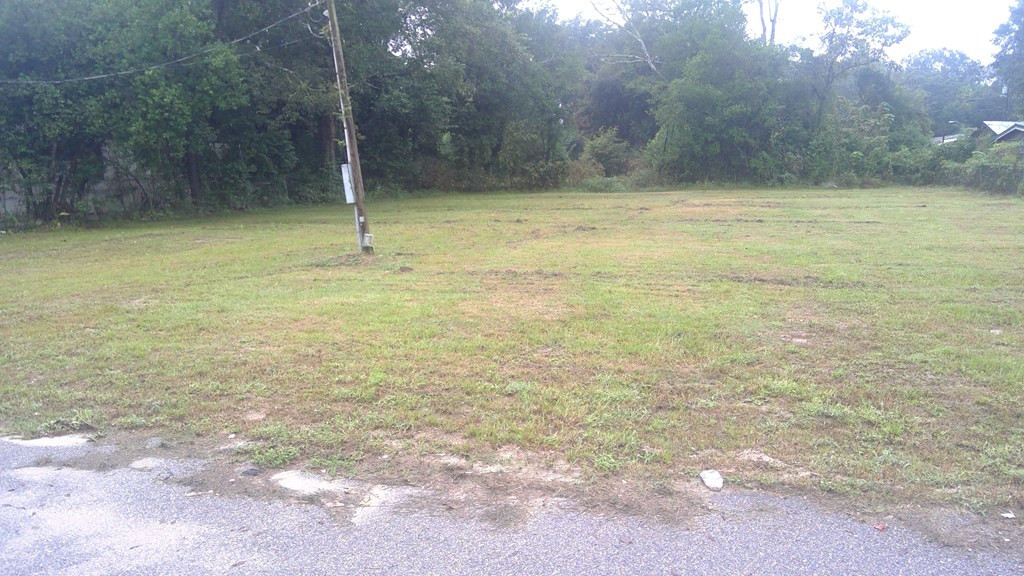 110 H Street Sumter, SC 29150 - Photo 5 of 5 Gallery Image 5