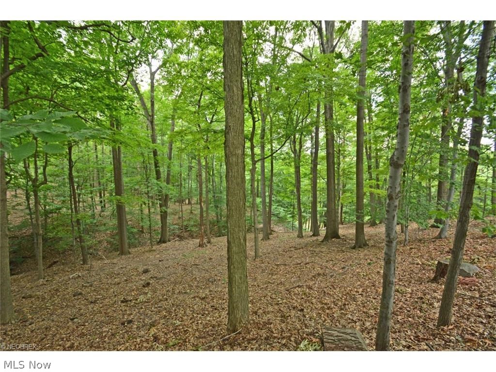 11666 River Ridge Road Strongsville, OH 44136 - Photo 27 of 28 Gallery Image 27