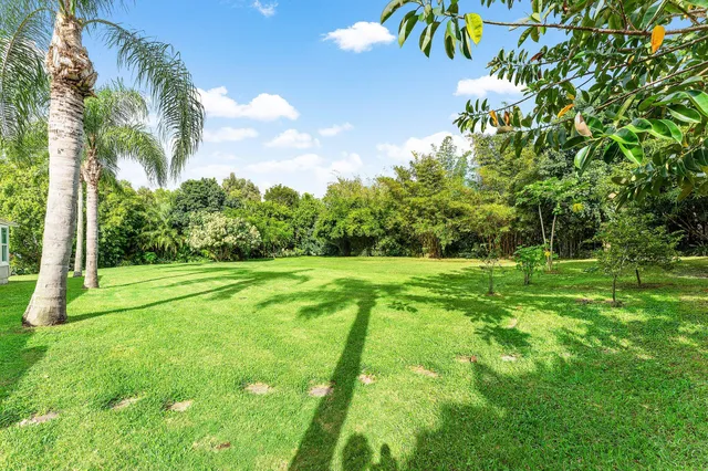 a big yard with lots of green space