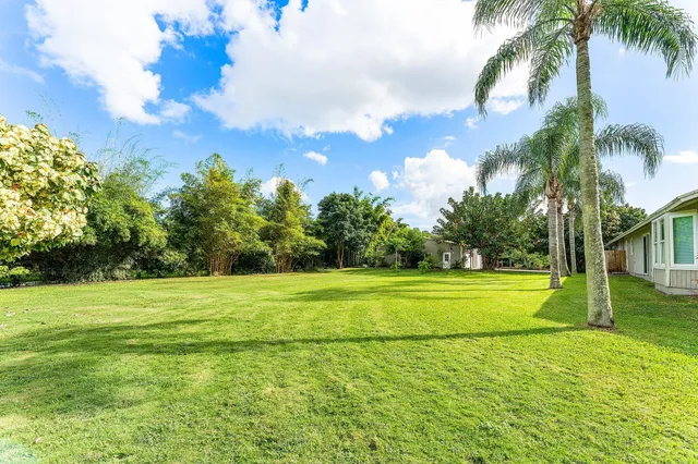 a view of a backyard with a garden