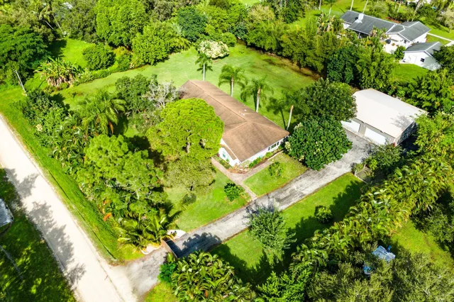 a view of a garden with plants