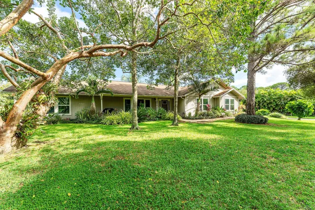 a view of a garden with palm trees