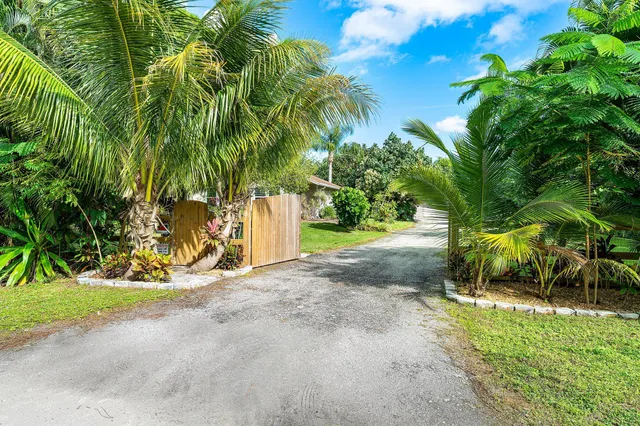 a view of a yard with plants