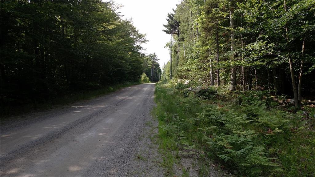 2027 Mann Hill Road Dedham, ME 04429 - Photo 17 of 18 Photo