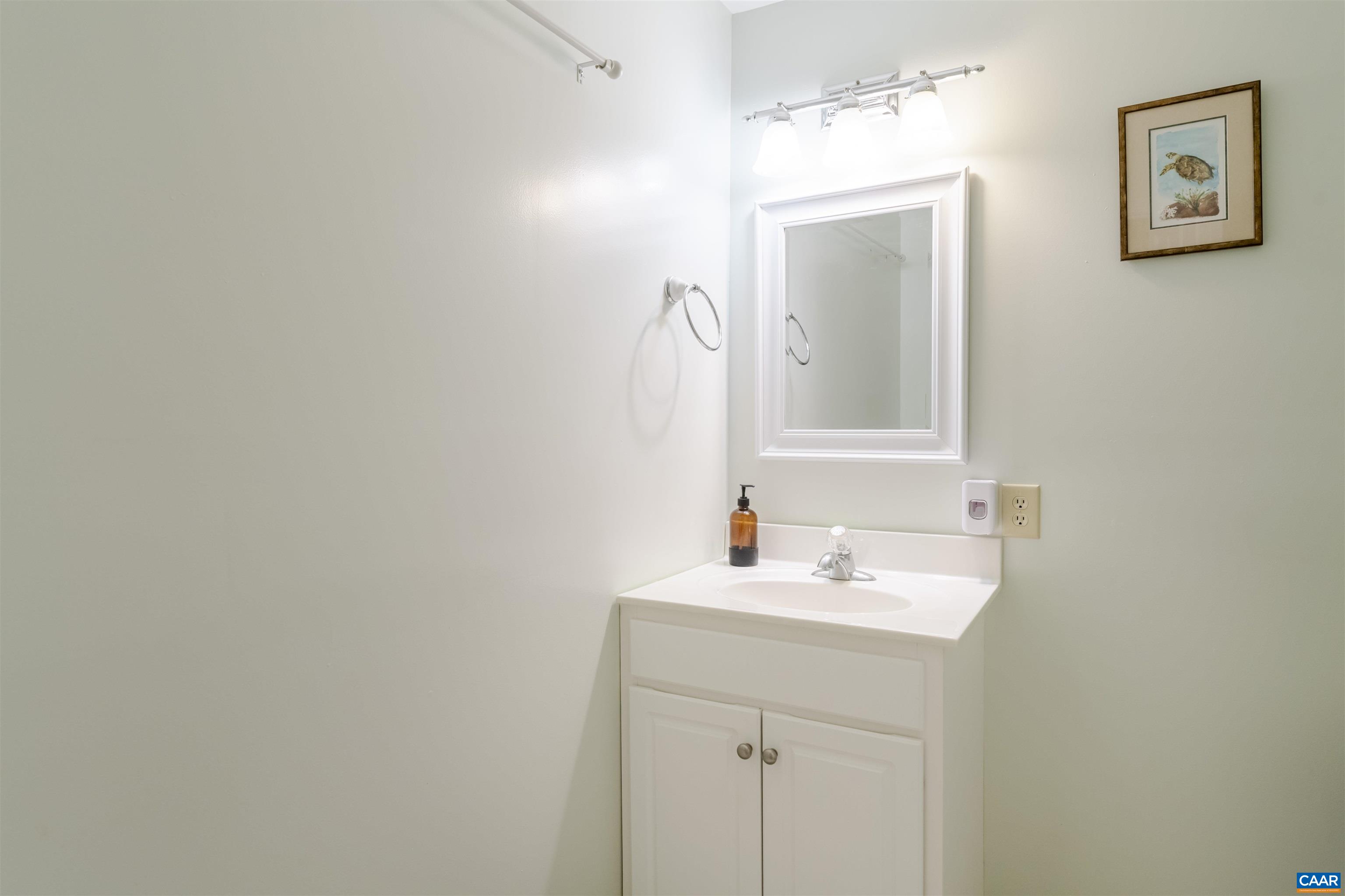 691 Old Roseland Road Roseland, VA 22967 - Photo 20 of 47 a bathroom with a sink and a mirror