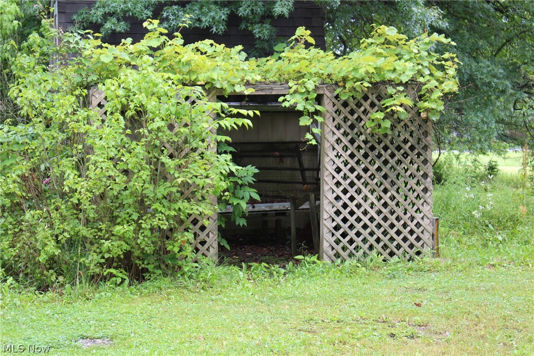 4490 Beach Road Medina, OH 44256 - Photo 14 of 35 Lath house with grapes over top.