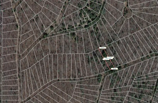 a view of path along with trees