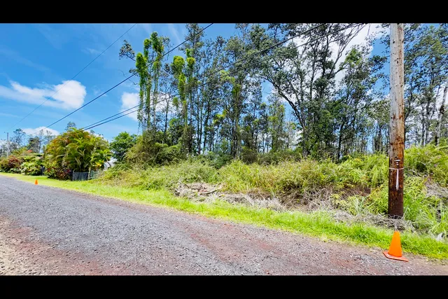 a view of a garden with plants