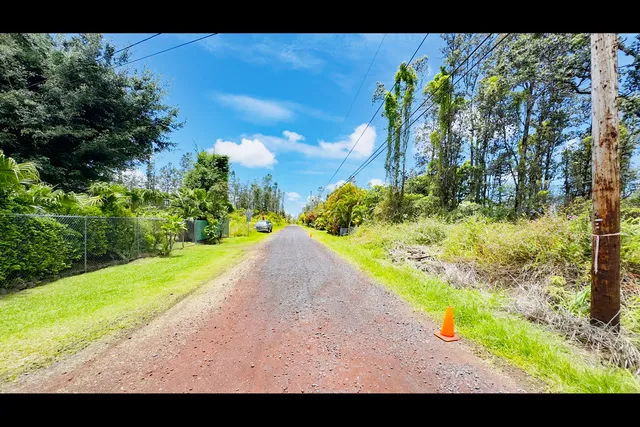 a view of a yard with plants