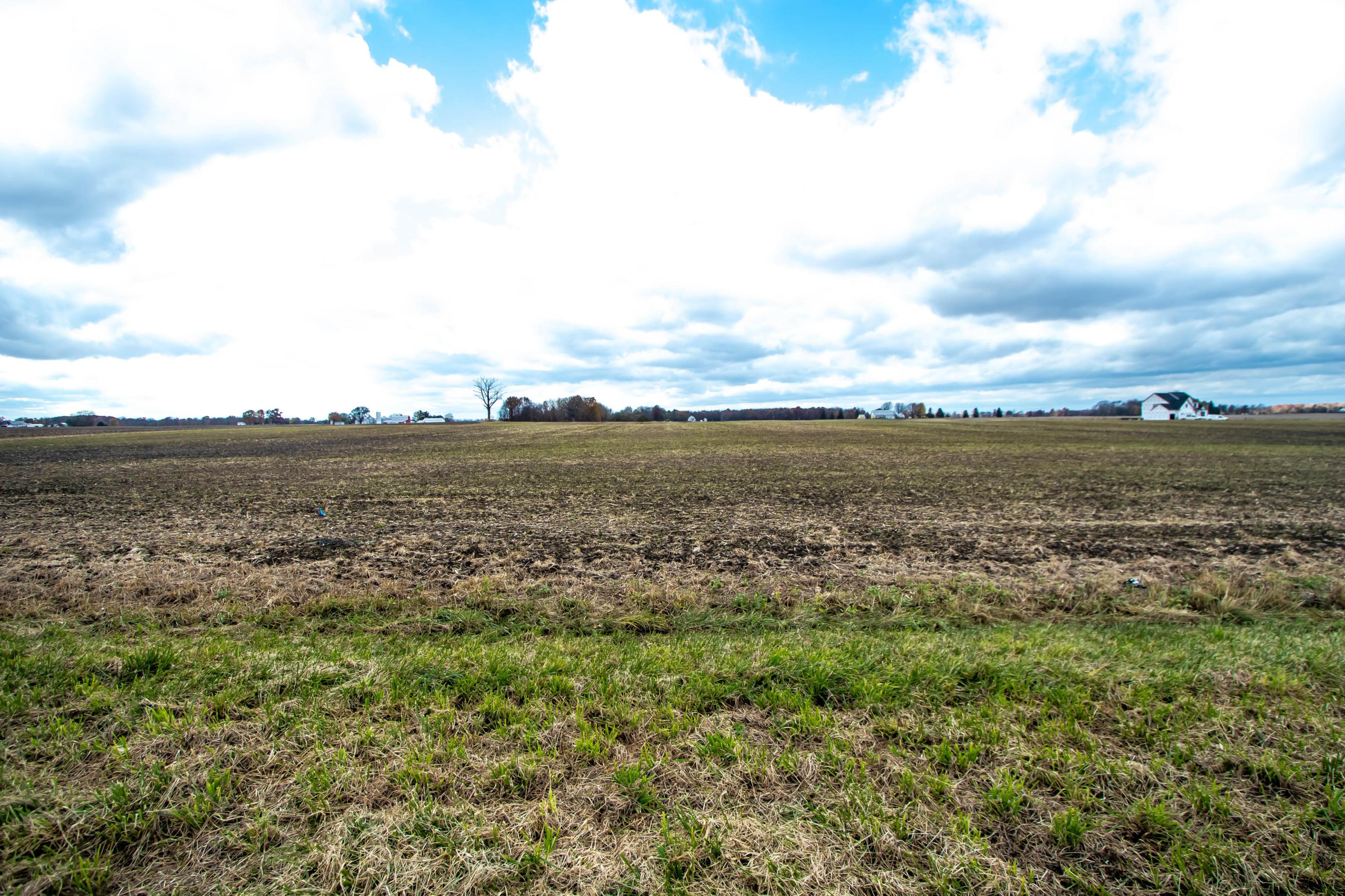 0 Whipple Road, Unit LOT #22 Delaware, OH 43015 - Photo 5 of 6