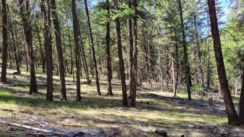 1315 Lofton Creek Road Prineville, OR 97754 - Photo 12 of 61 image000005 (8)
