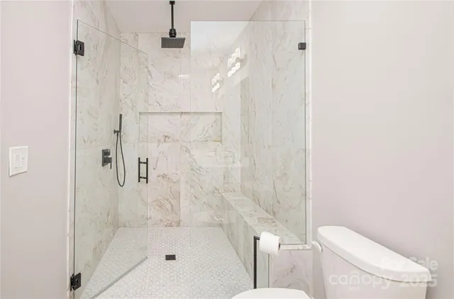 a bathroom with a shower and toilet