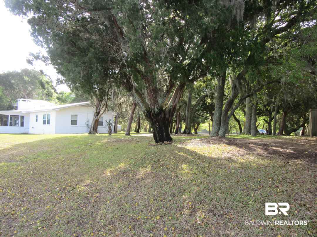 10289 Pleasure Point Road Gulf Shores, AL 36542 - Photo 43 of 46 Trees toward house