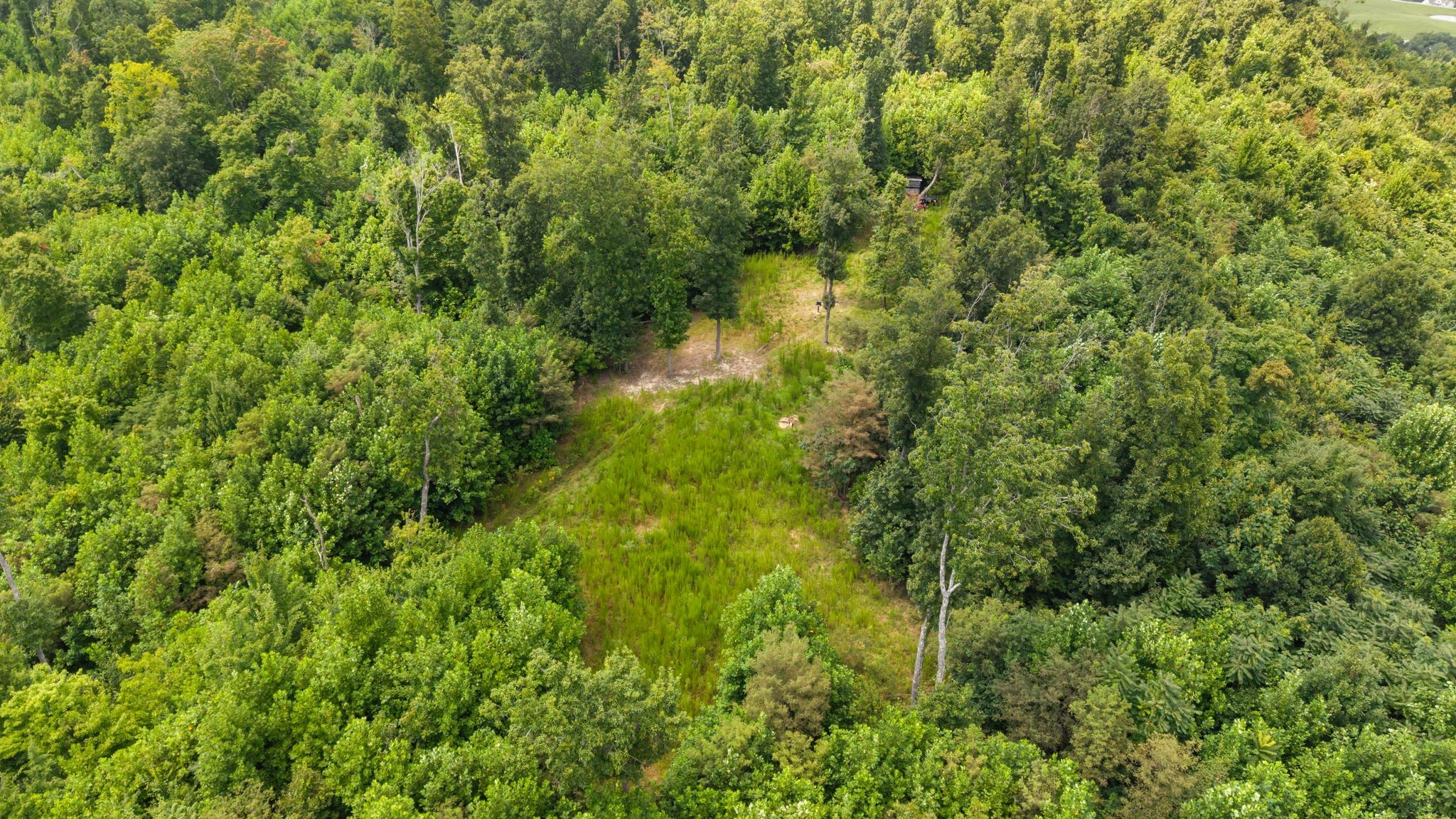0 Sparkman Town-Bone Cave Road Doyle, TN 38559 - Photo 15 of 77 Gallery Image 15