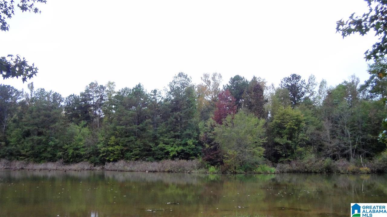 Lot #7 Lost Creek Cove Road, Unit 7 Delta, AL 36258 - Photo 11 of 14