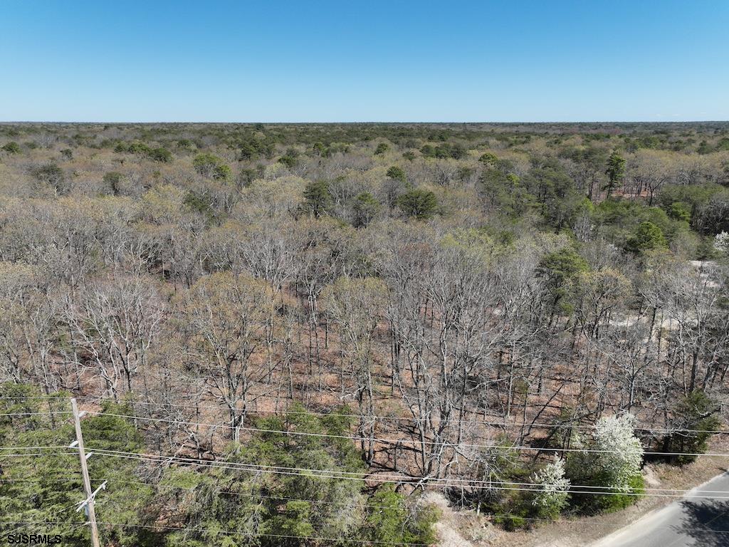351 Shaws Mill Road Newport, NJ 08345 - Photo 54 of 84