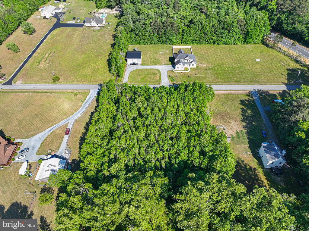 Lot 7 Bell Road Whaleyville, MD 21872 - Photo 15 of 20
