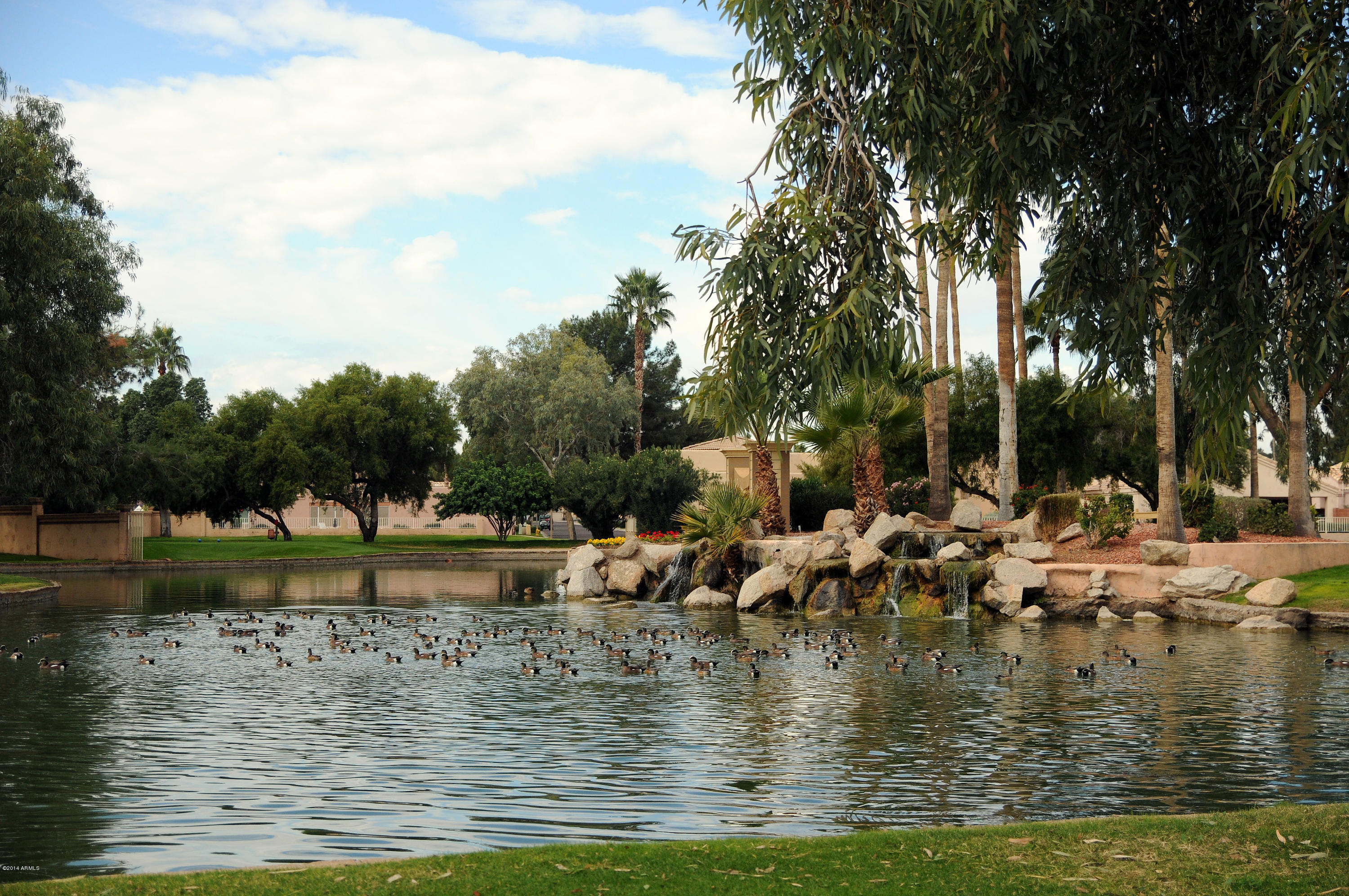 14300 West Bell Road, Unit 292 Surprise, AZ 85374 - Photo 21 of 22 SV292_36