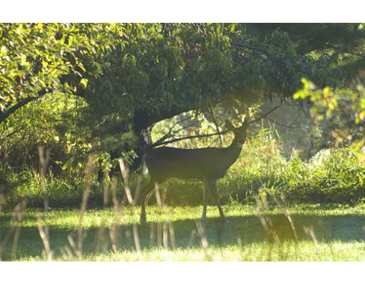 123 Audubon Road Northampton, MA 01053 - Photo 8 of 25 a view of lake