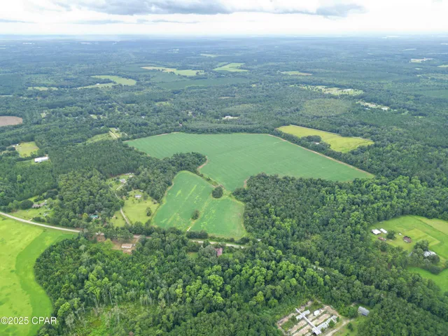 $659,000 | 0 Juniper Creek Road, Quincy, FL 32351