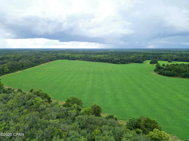 $659,000 | 0 Juniper Creek Road, Quincy, FL 32351